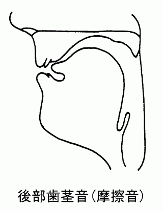 後部歯茎音