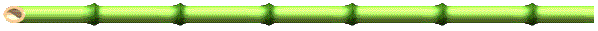 bamboo
